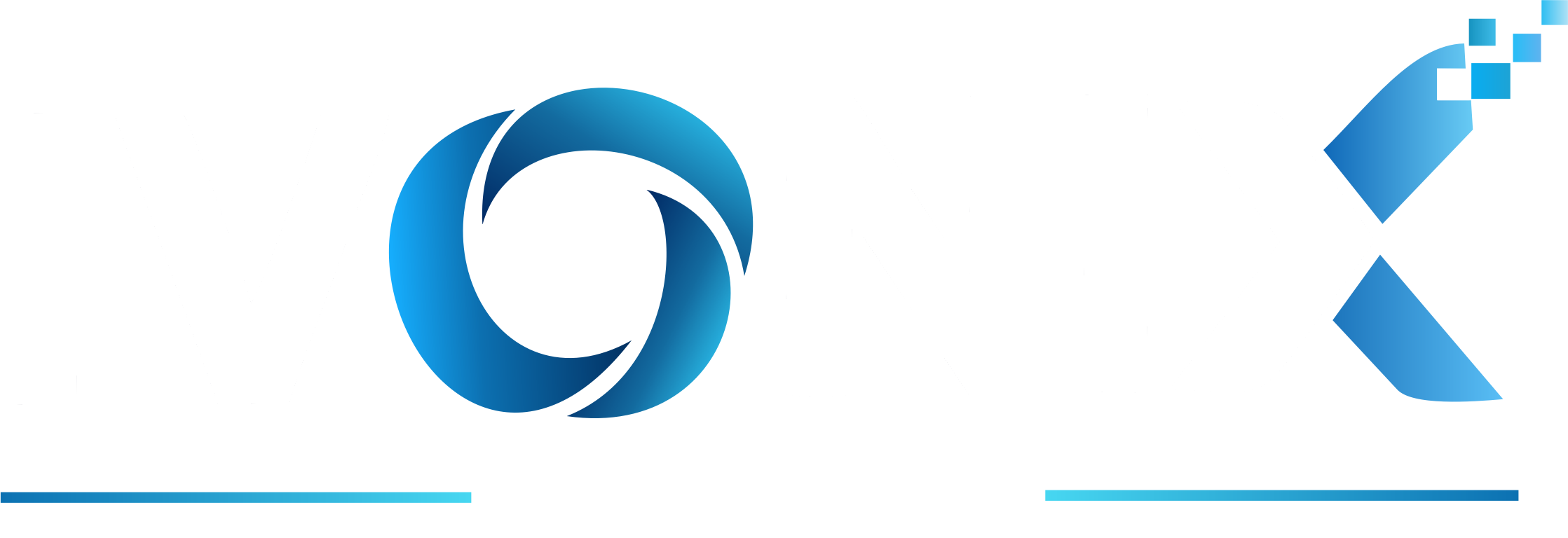 Ivonix Infotek
